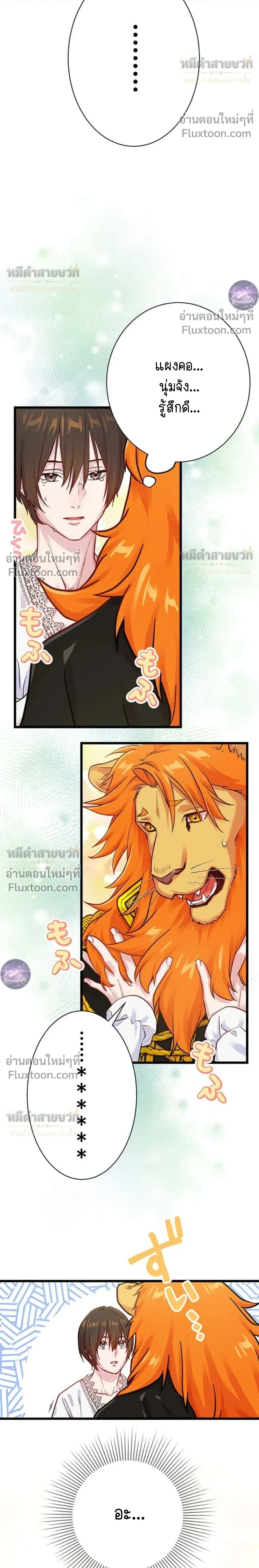 หน้าที่ 24