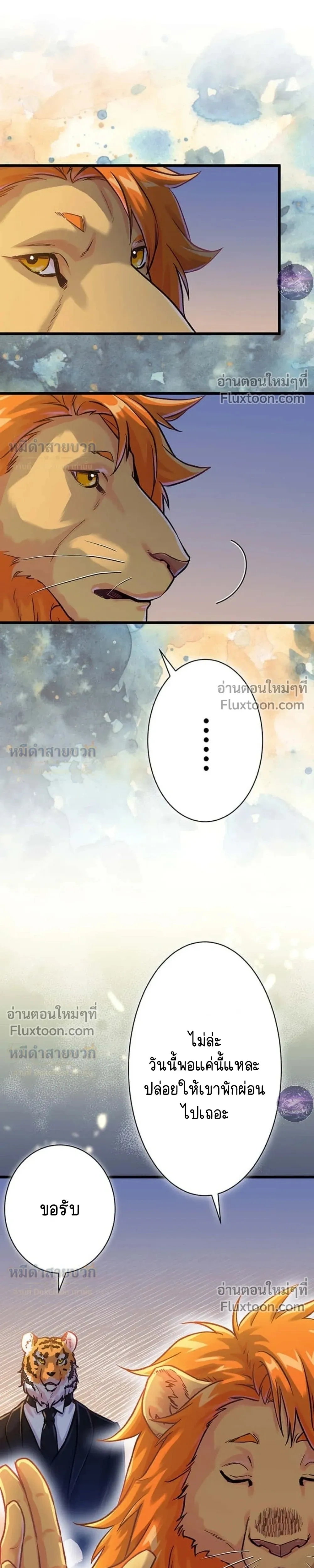หน้าที่ 29
