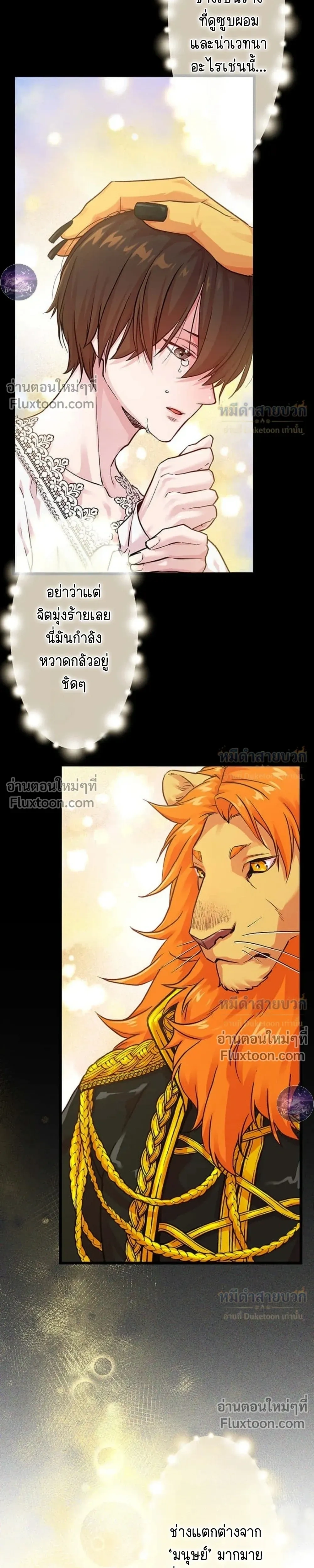 หน้าที่ 17