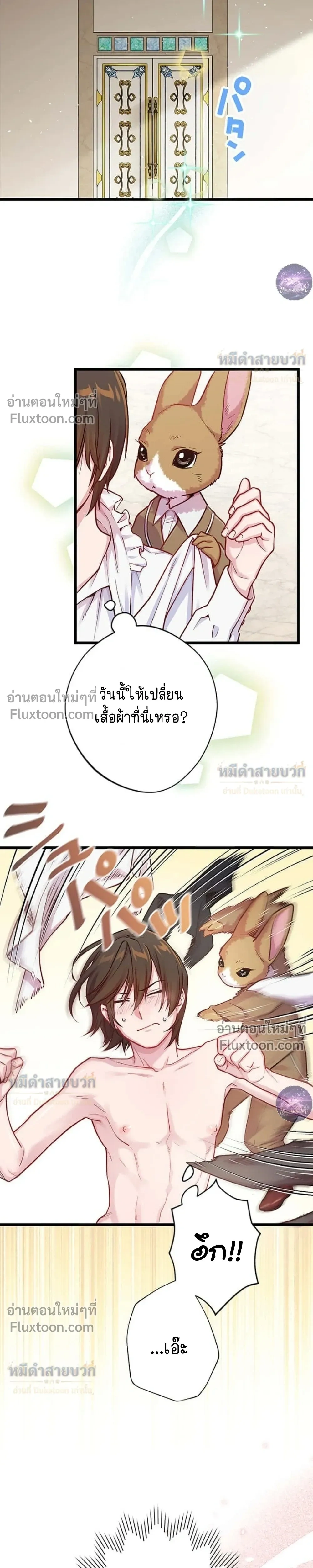 หน้าที่ 17
