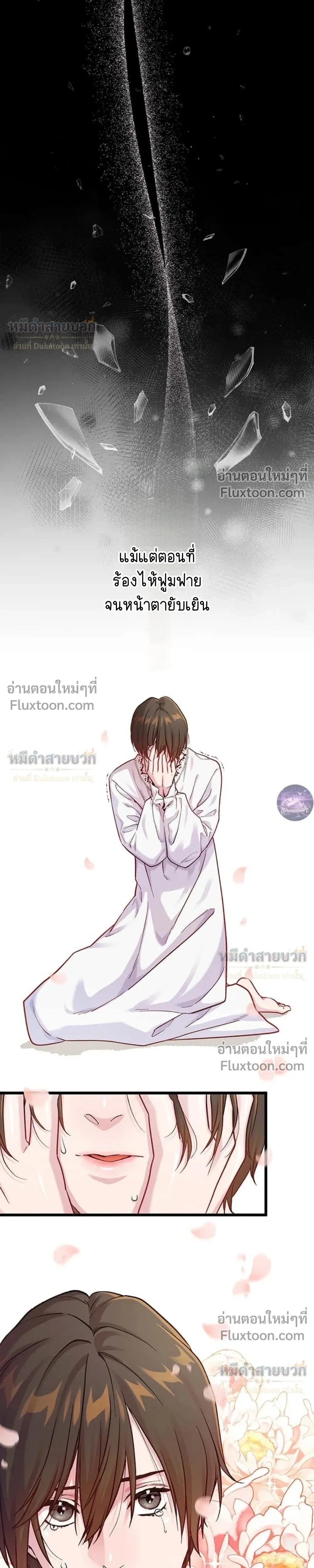 หน้าที่ 31