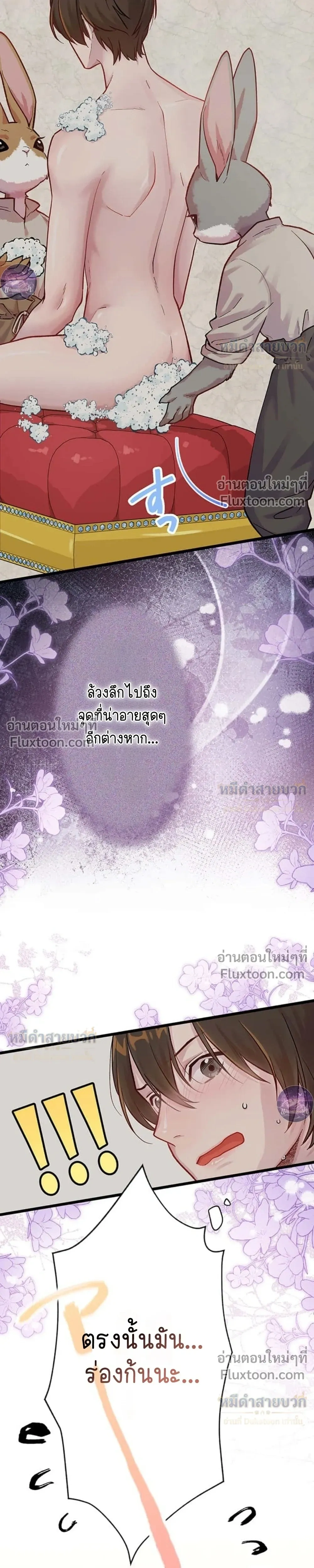 หน้าที่ 17