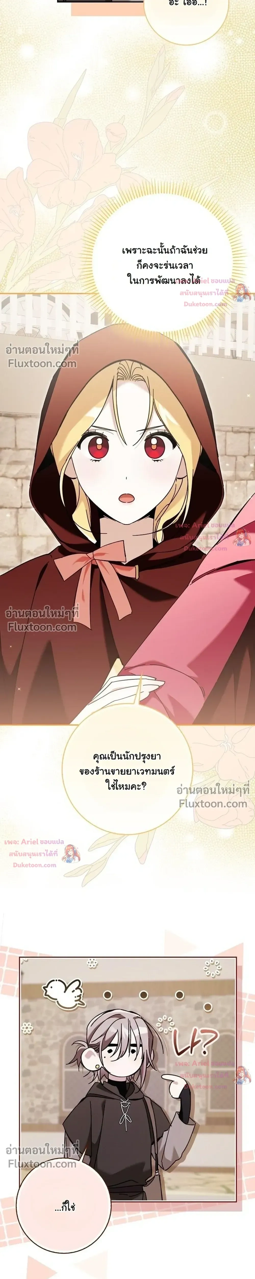 หน้าที่ 13