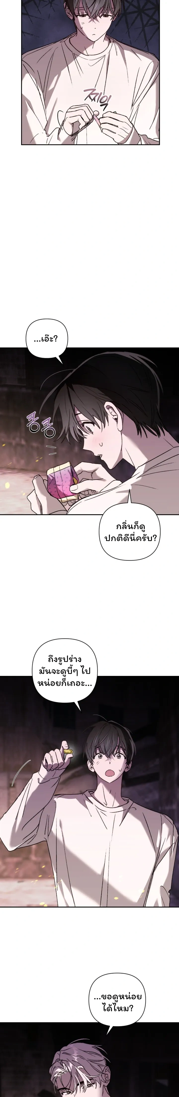 หน้าที่ 17