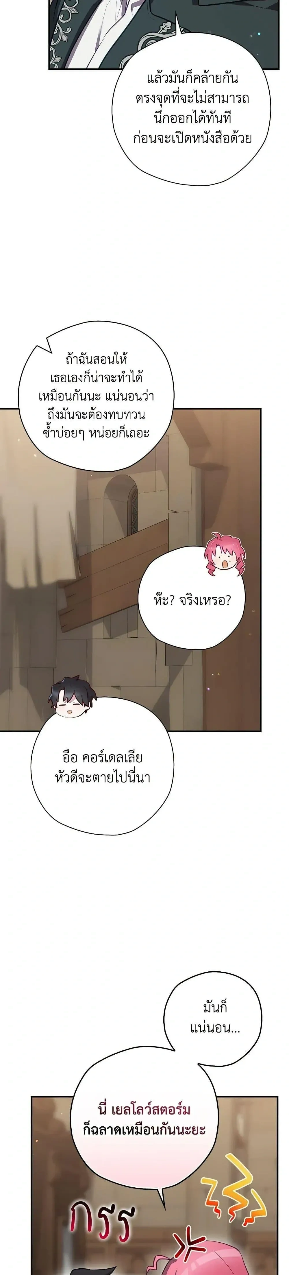 หน้าที่ 29