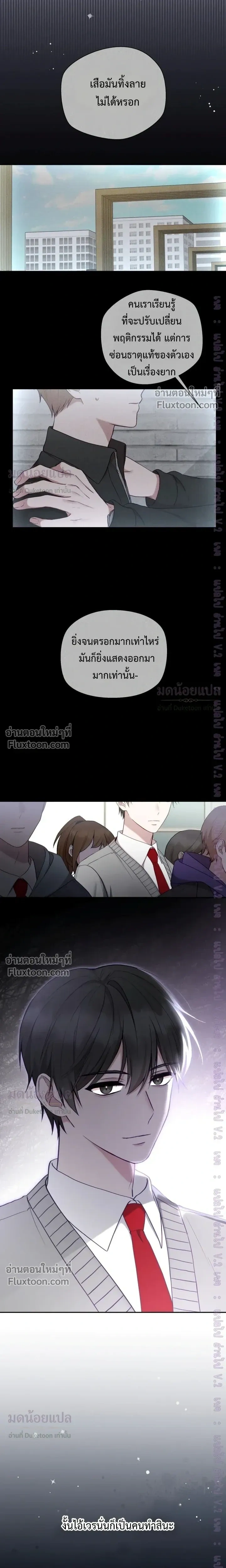 หน้าที่ 13