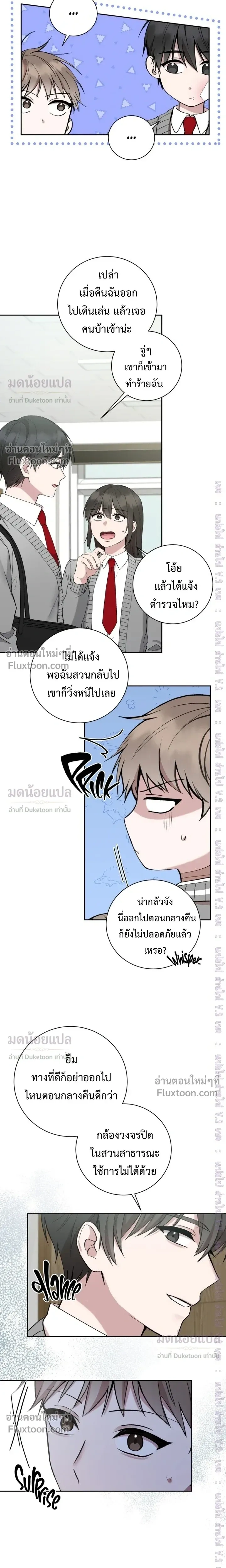 หน้าที่ 13