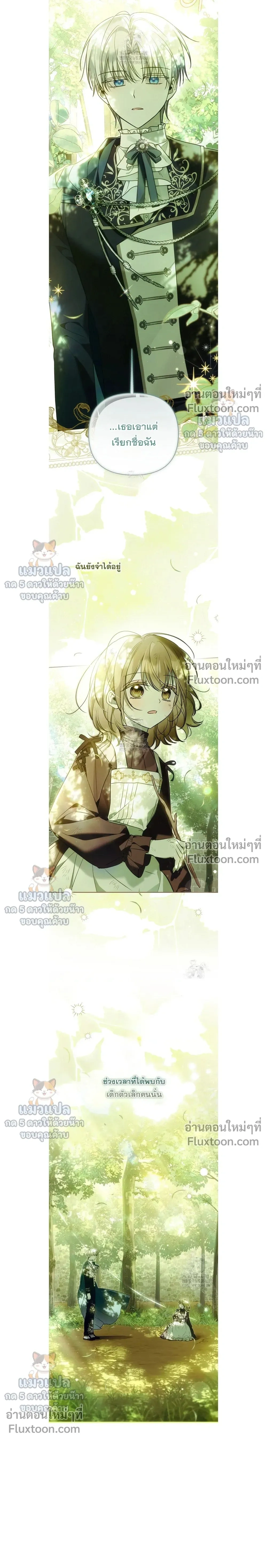 หน้าที่ 31