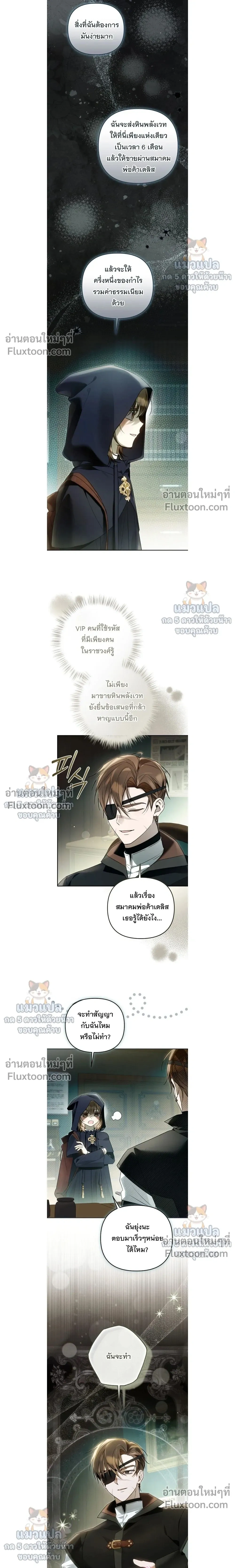 หน้าที่ 13