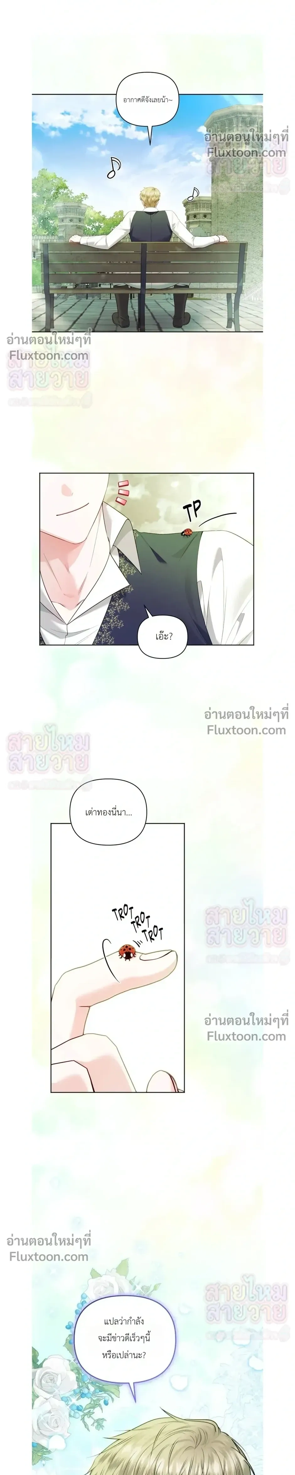 หน้าที่ 24