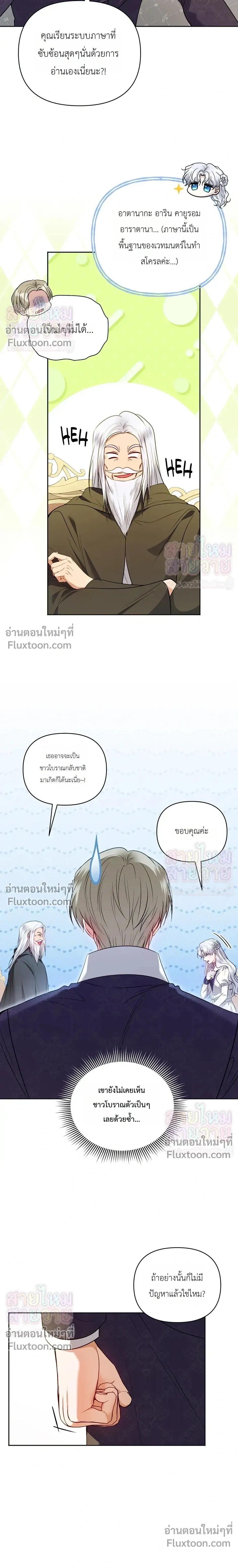 หน้าที่ 13
