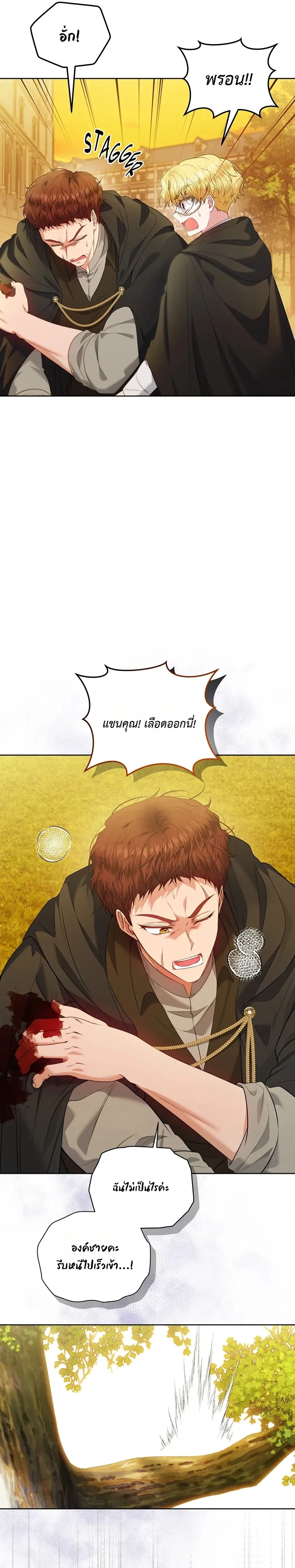 หน้าที่ 29