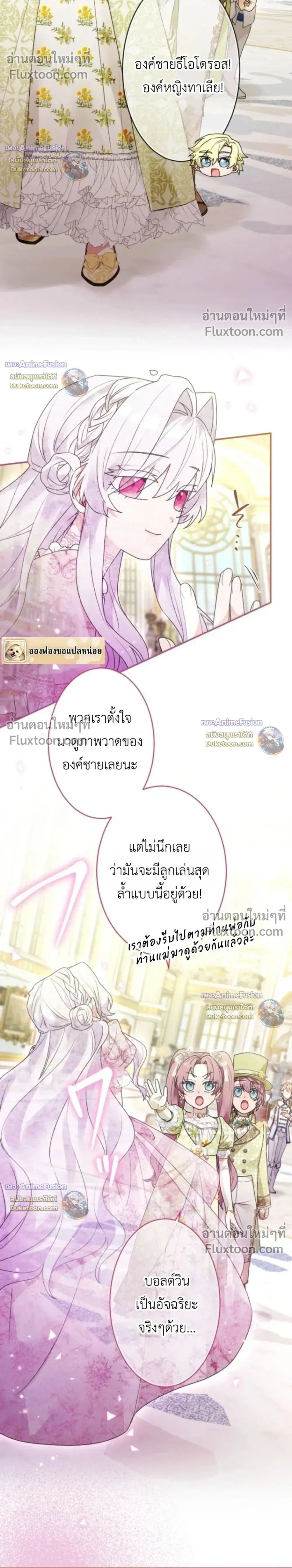 หน้าที่ 29