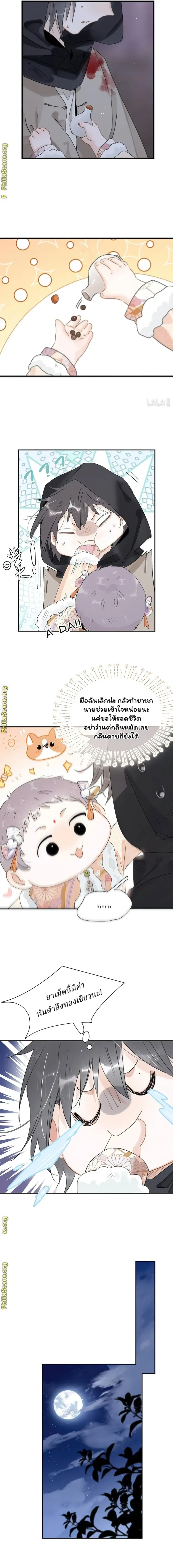 หน้าที่ 5