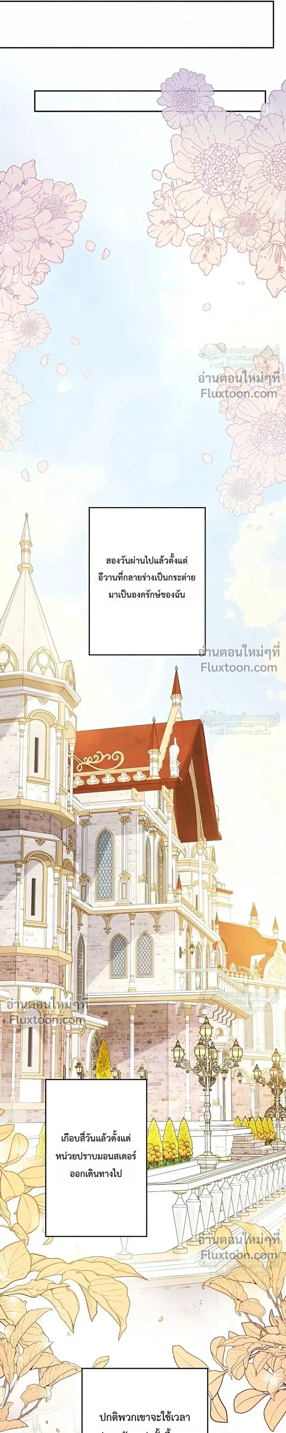 หน้าที่ 29