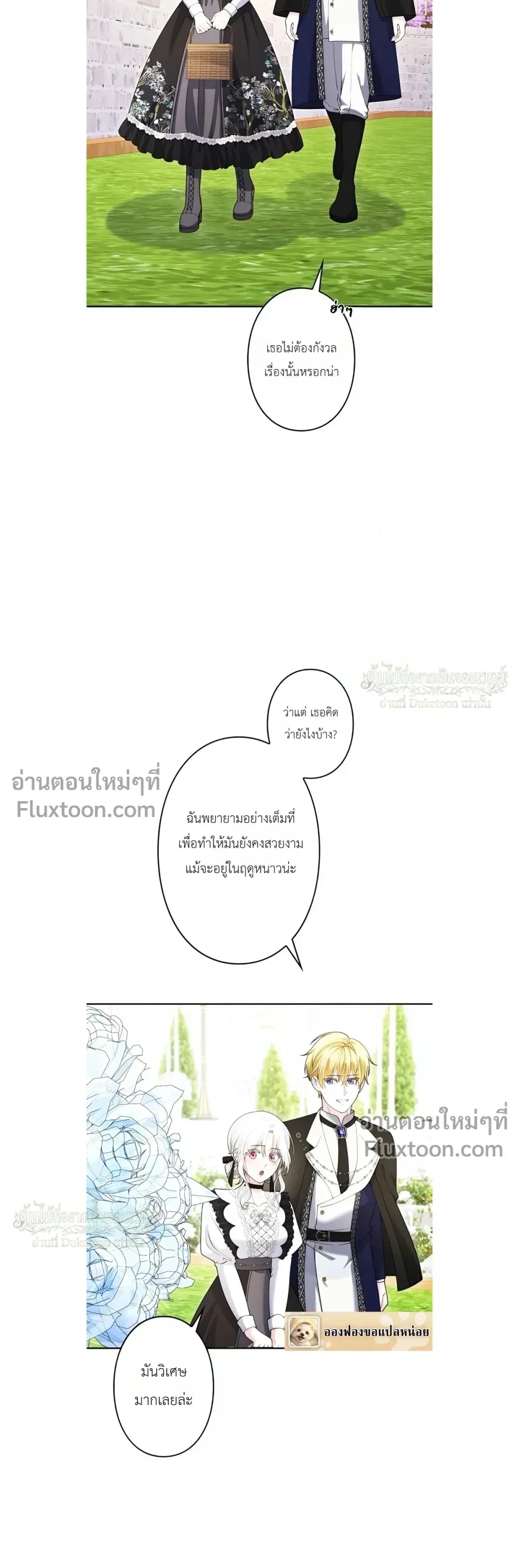 หน้าที่ 11