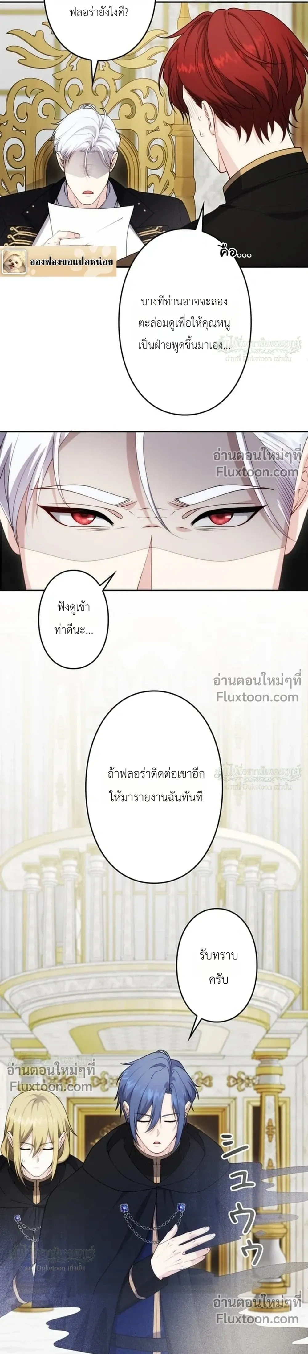 หน้าที่ 13