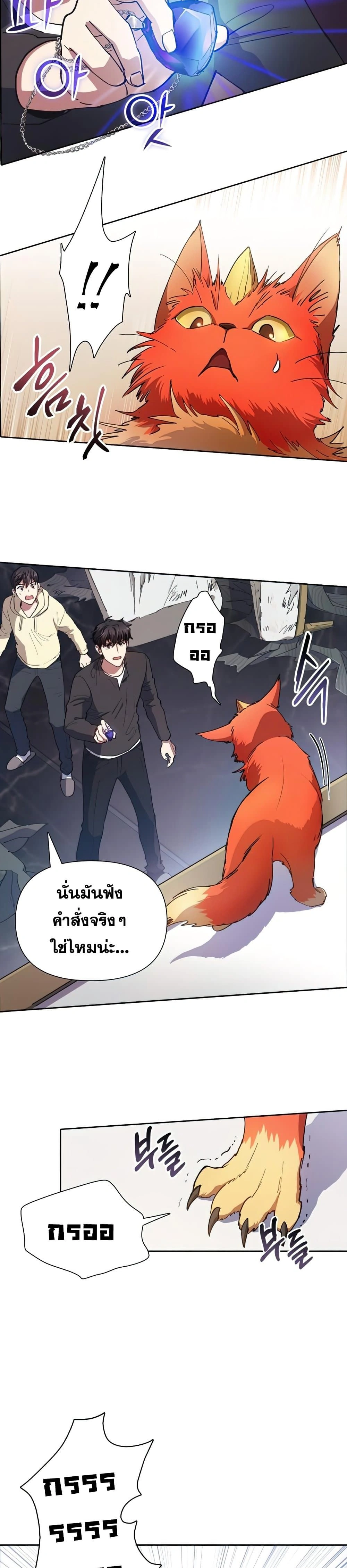 หน้าที่ 17