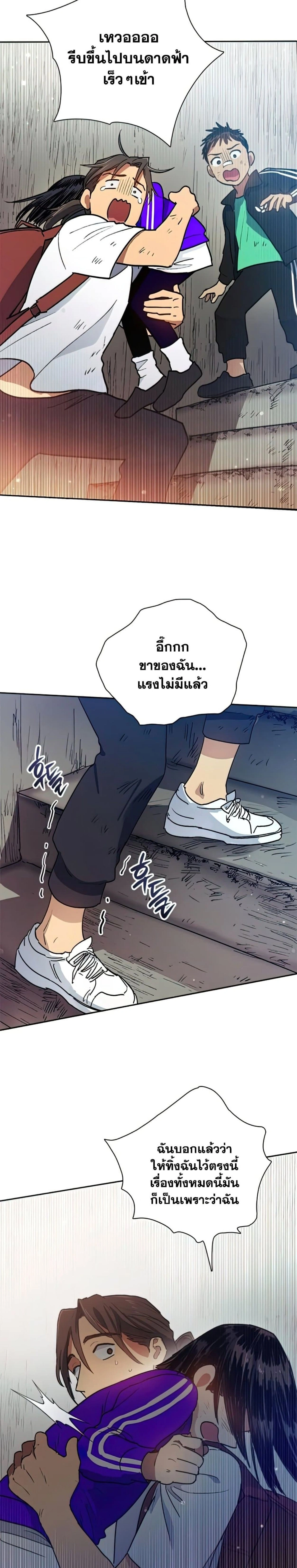 หน้าที่ 13