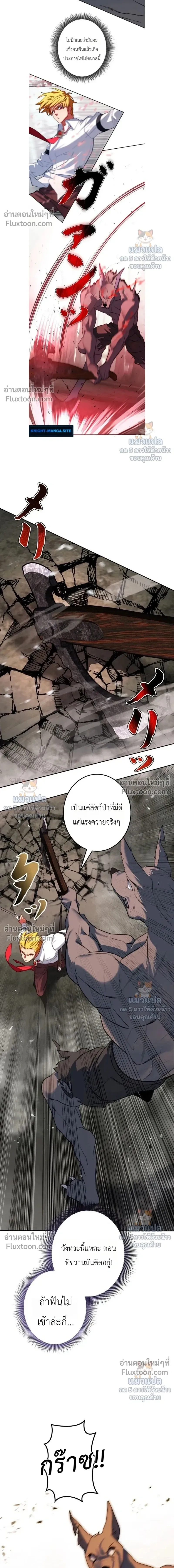 หน้าที่ 11