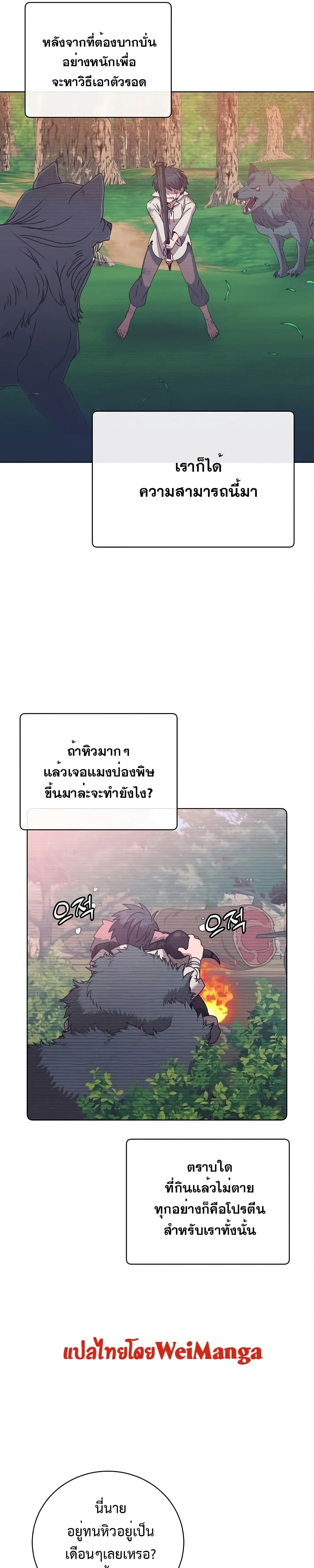 หน้าที่ 17