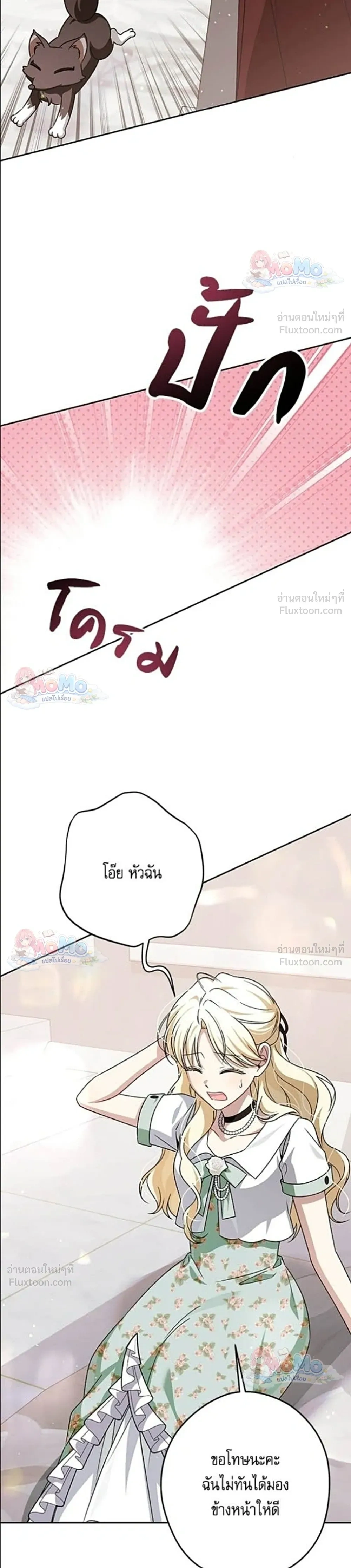 หน้าที่ 17