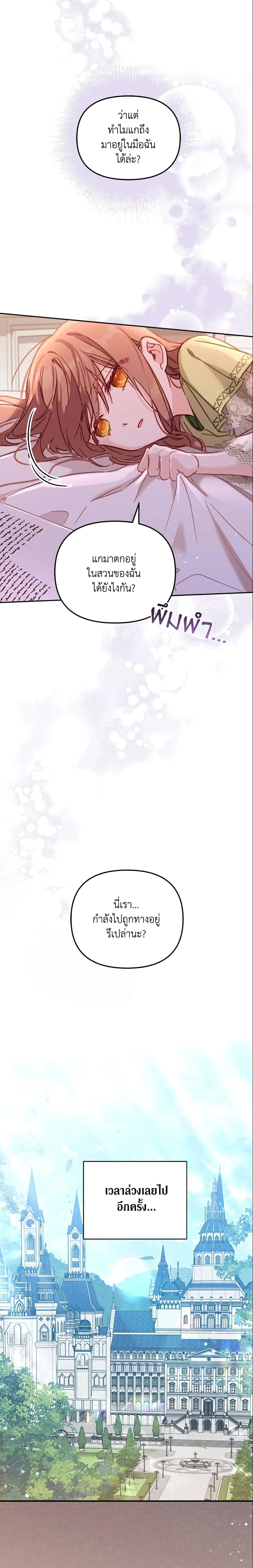 หน้าที่ 13