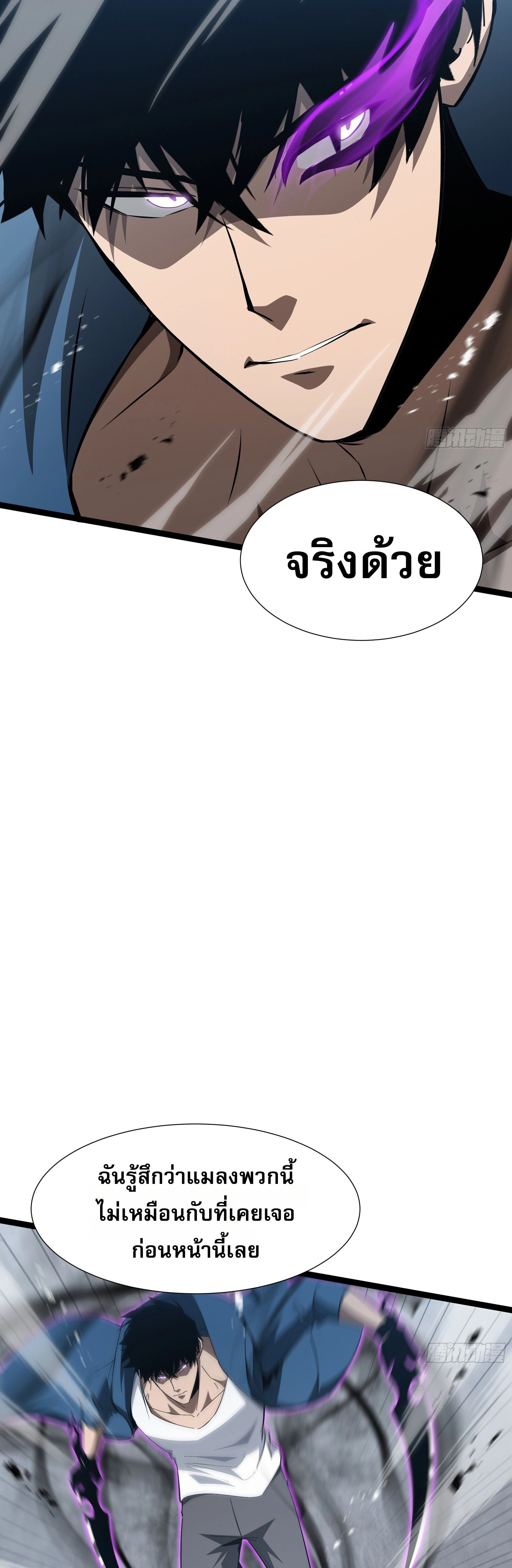 หน้าที่ 24