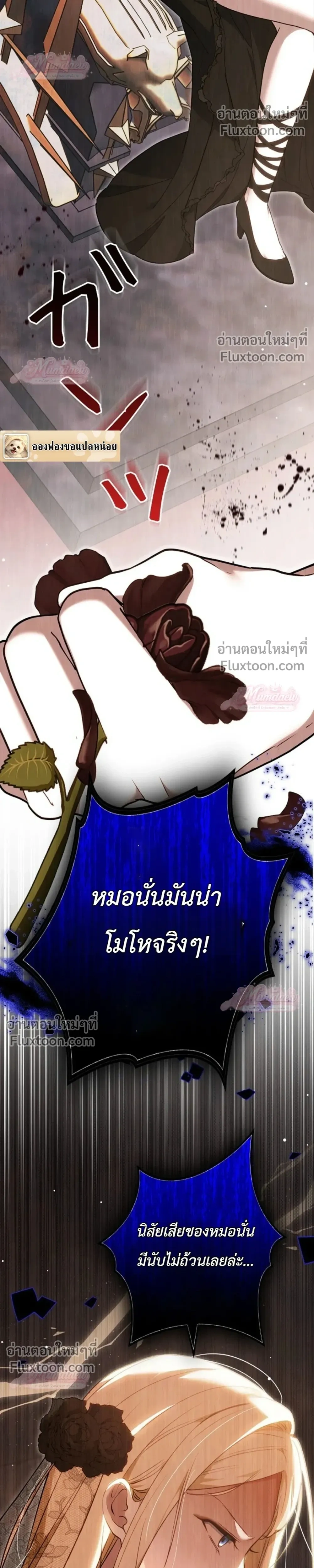 หน้าที่ 37