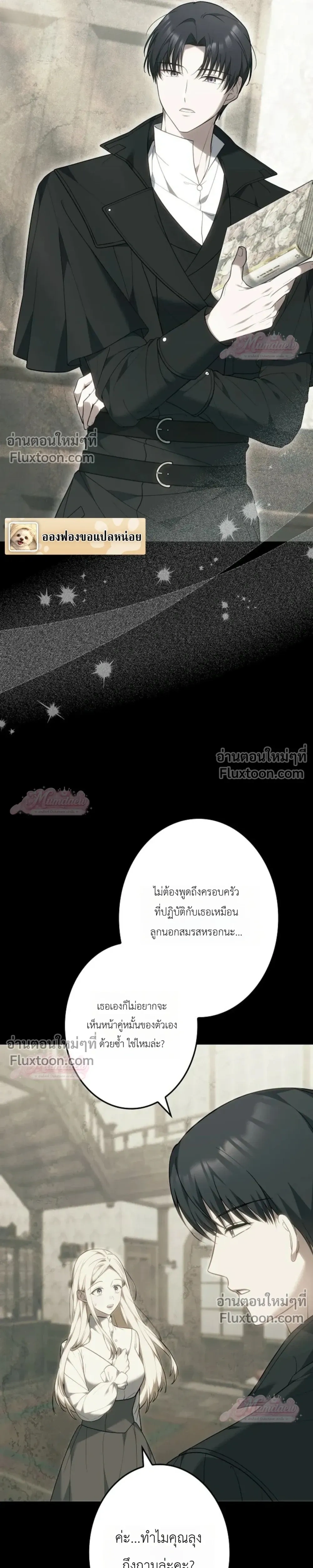 หน้าที่ 17