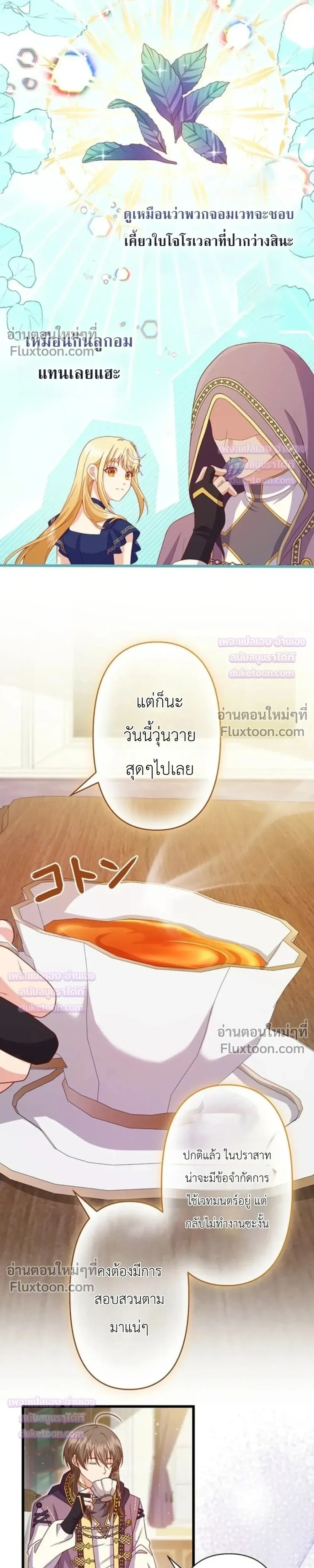 หน้าที่ 17