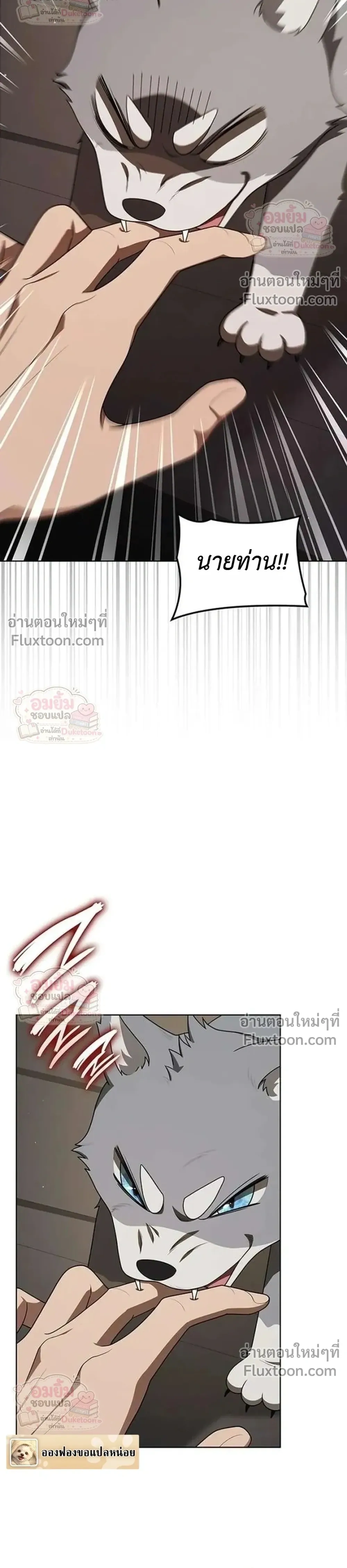 หน้าที่ 46