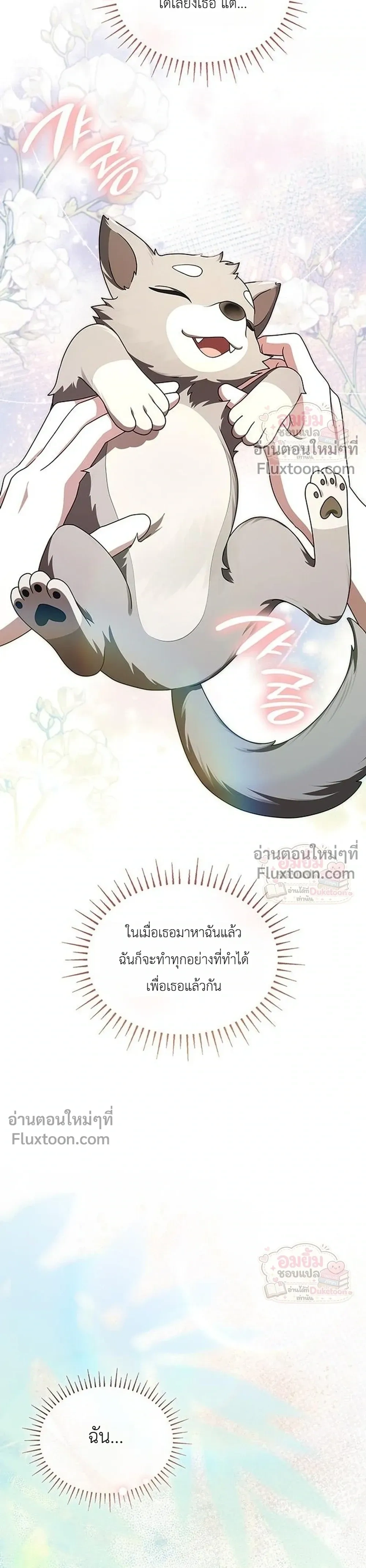 หน้าที่ 29