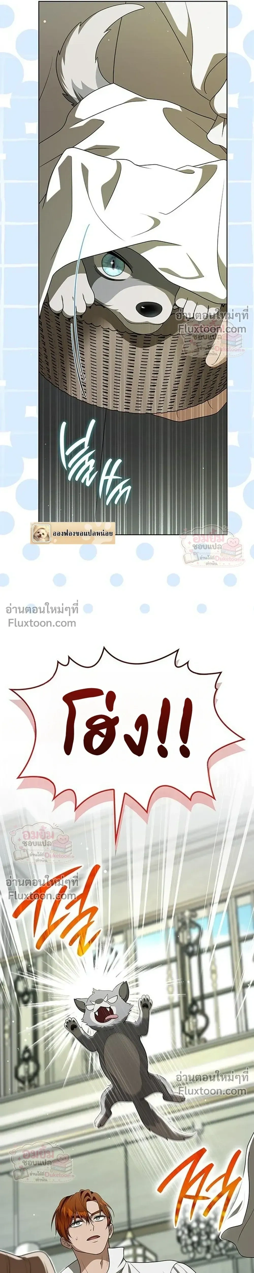 หน้าที่ 24
