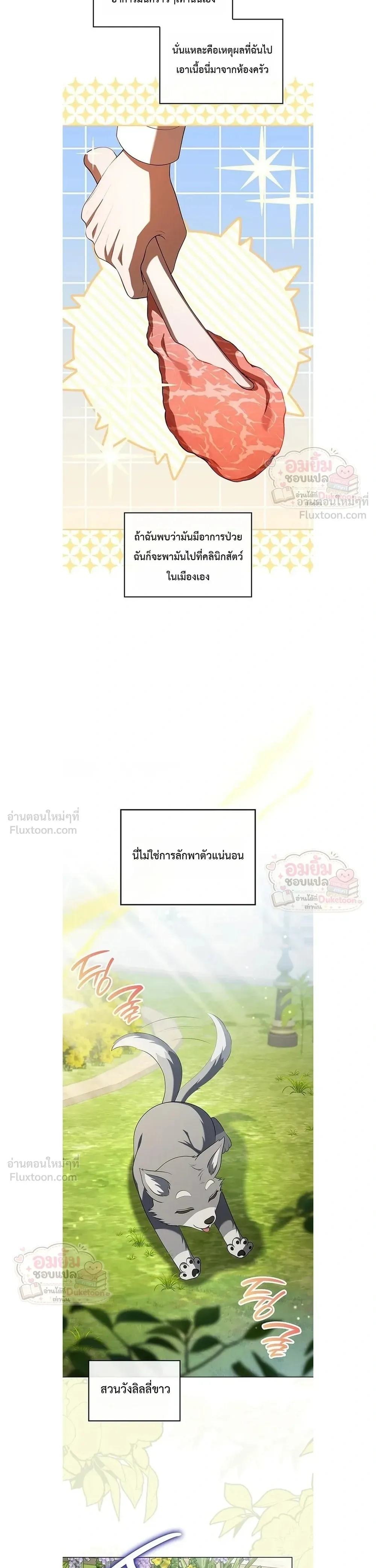 หน้าที่ 21