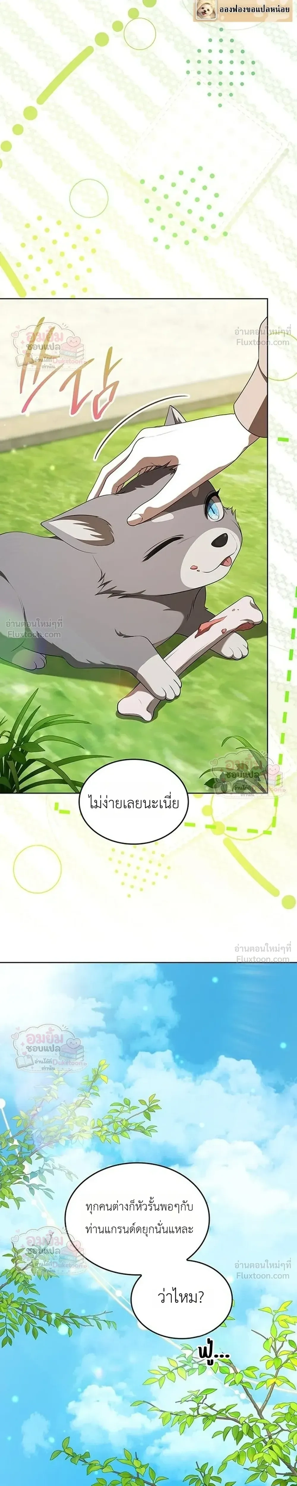 หน้าที่ 31