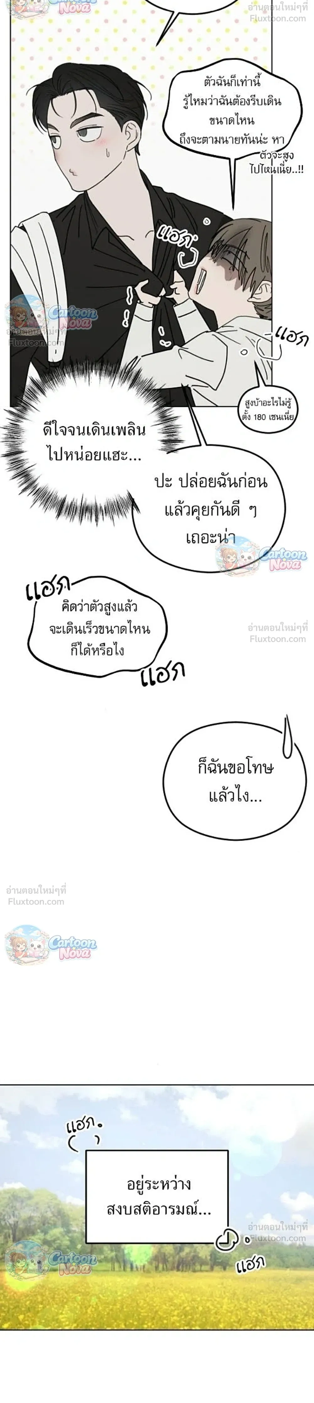 หน้าที่ 31