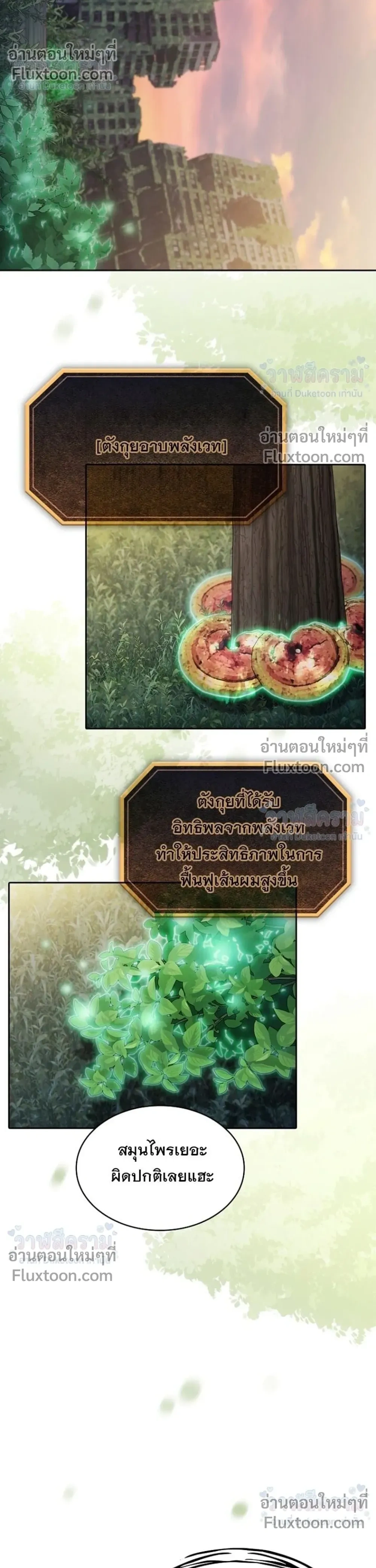 หน้าที่ 34