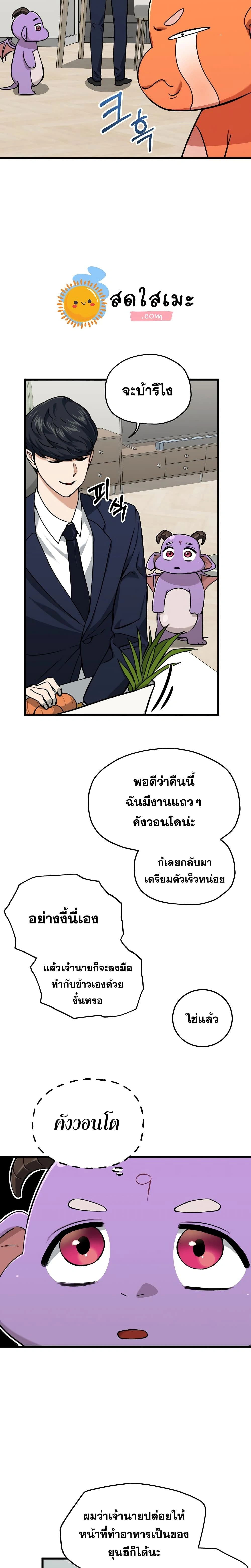 หน้าที่ 13