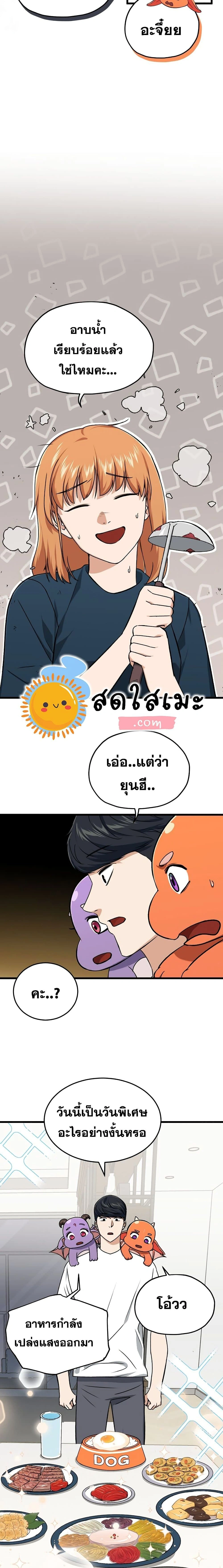 หน้าที่ 13