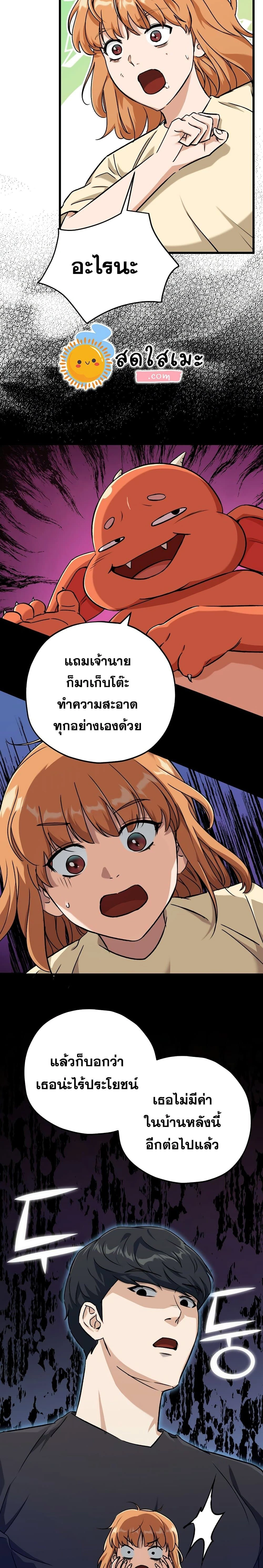 หน้าที่ 17