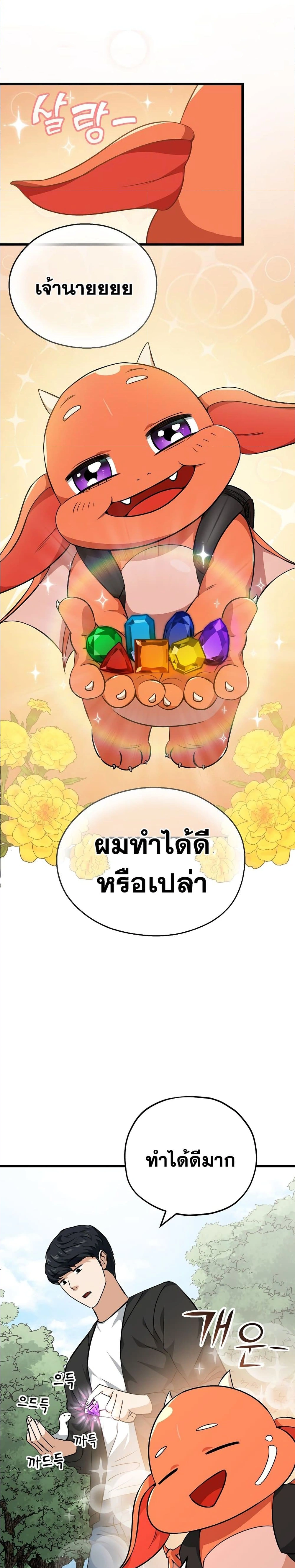 หน้าที่ 17