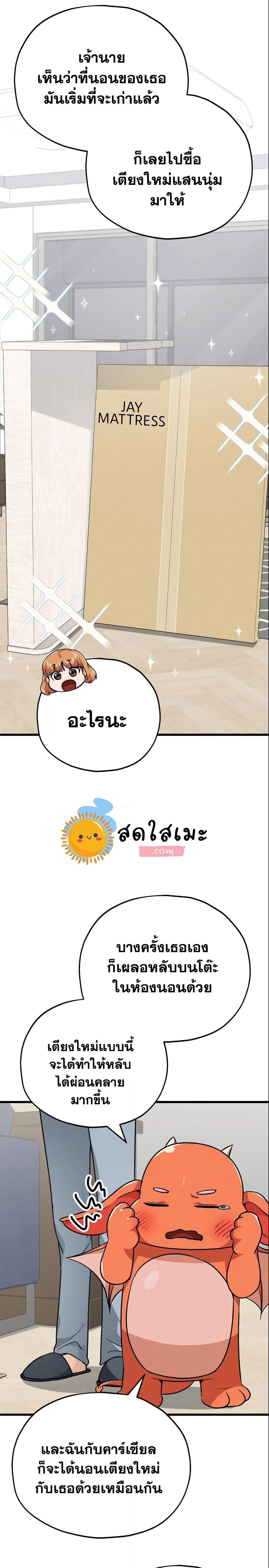 หน้าที่ 31