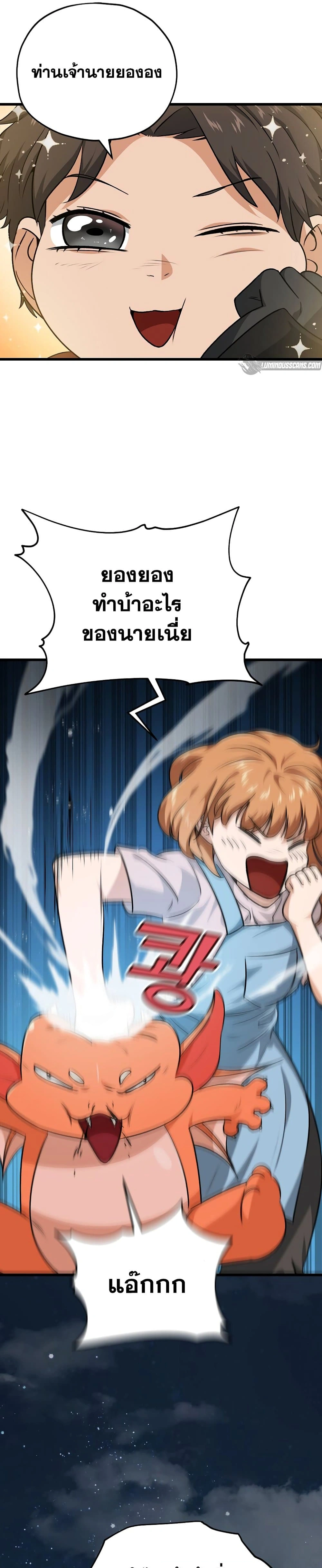 หน้าที่ 31