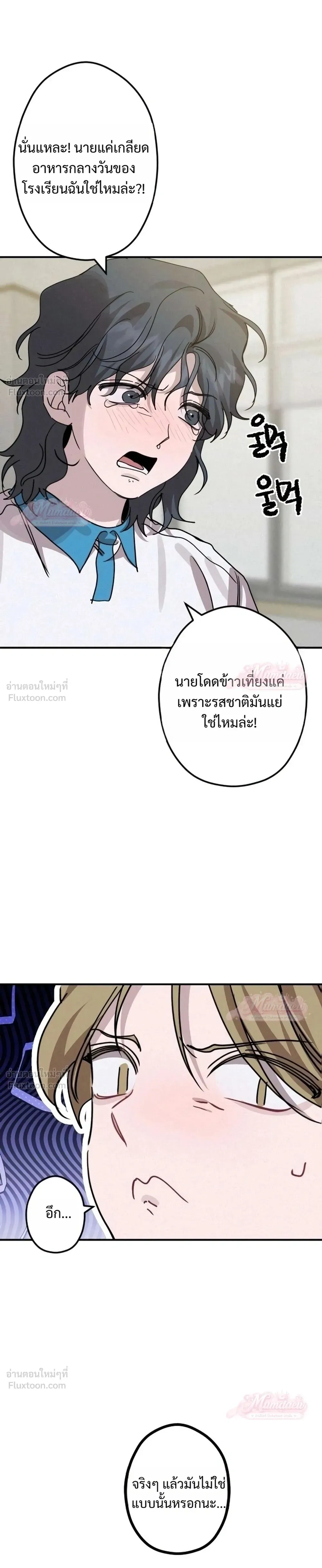 หน้าที่ 17