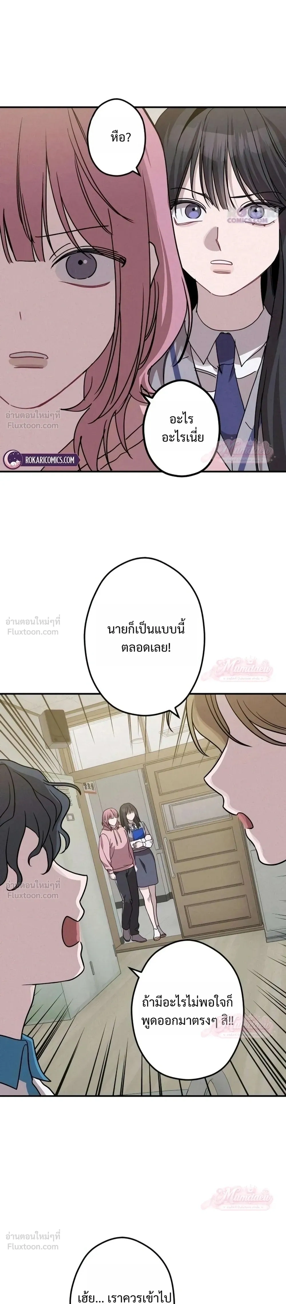 หน้าที่ 13