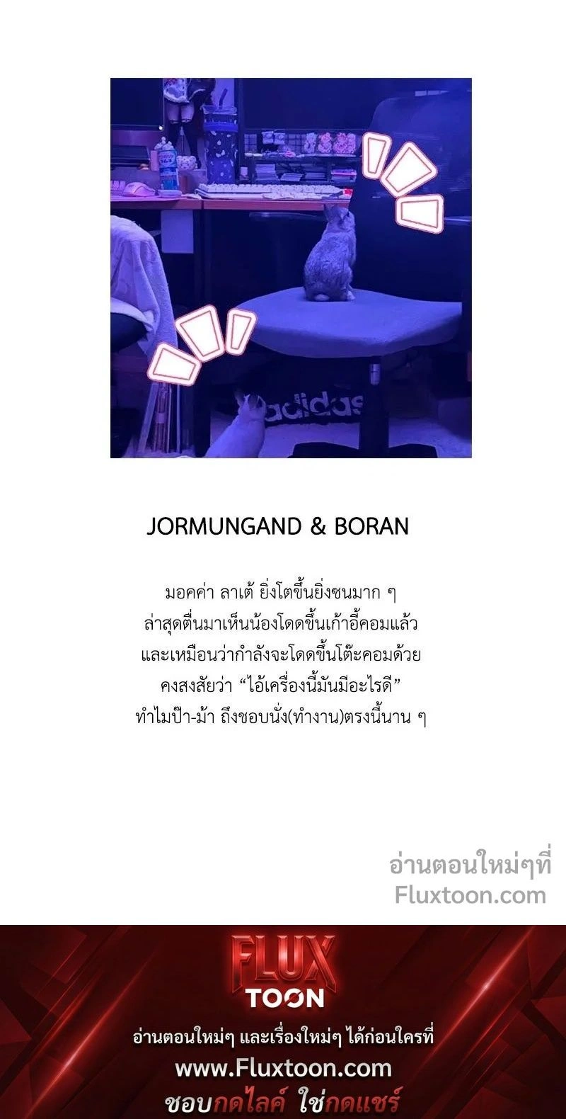 หน้าที่ 14