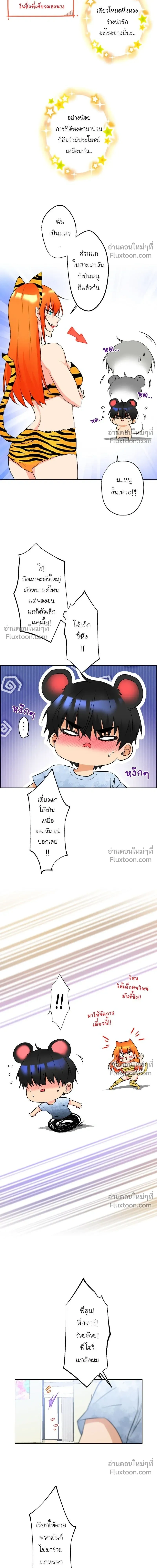 หน้าที่ 11