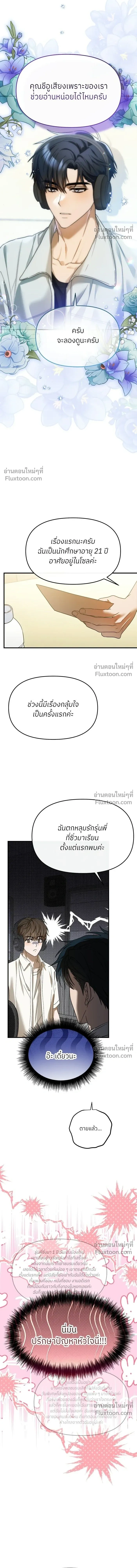 หน้าที่ 17