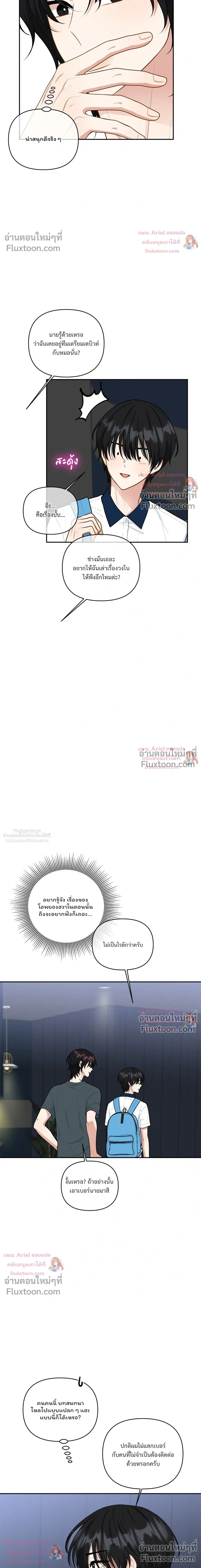 หน้าที่ 13